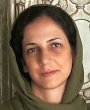 S A Shadmehri