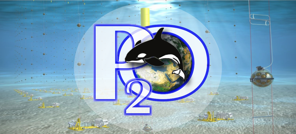 P2O logo + underwater background