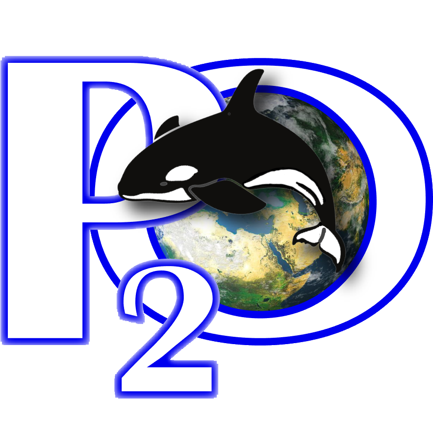 P2O_logo
