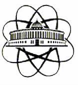 JINR logo